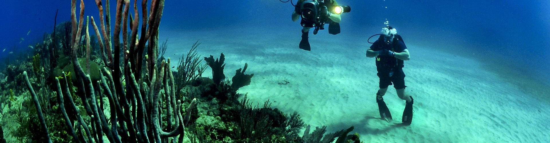 badr divers in Hurghada