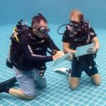 PADI-Assistant-Instructor-Hurghada