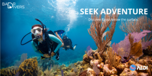 PADI-Open-Water-Diver-Course-Hurghada-Redsea-Diving-Scuba