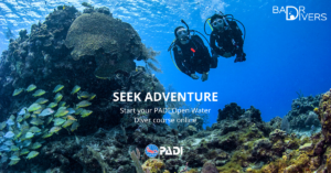 PADI-Open-Water-Diver-Course-Hurghada-Egypt-Redsea-Diving-Scuba