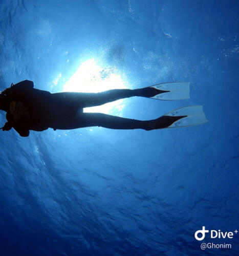 Scuba Diving courses Hurghada